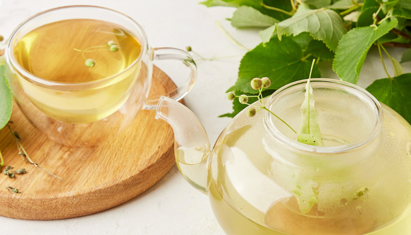 Pourquoi les thés verts Renaissance Tea ont-ils autant de succès ?
